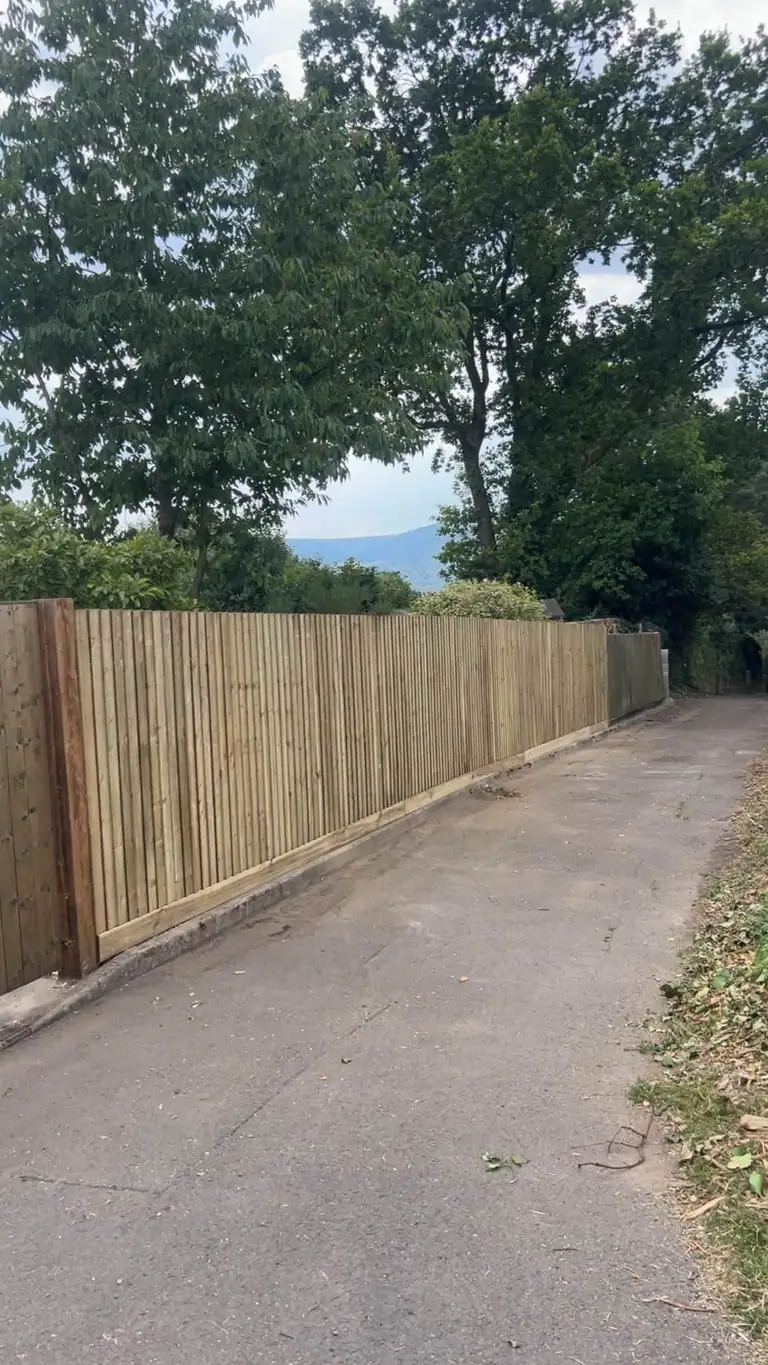 A new boundary the length of the drive — after the work was completed