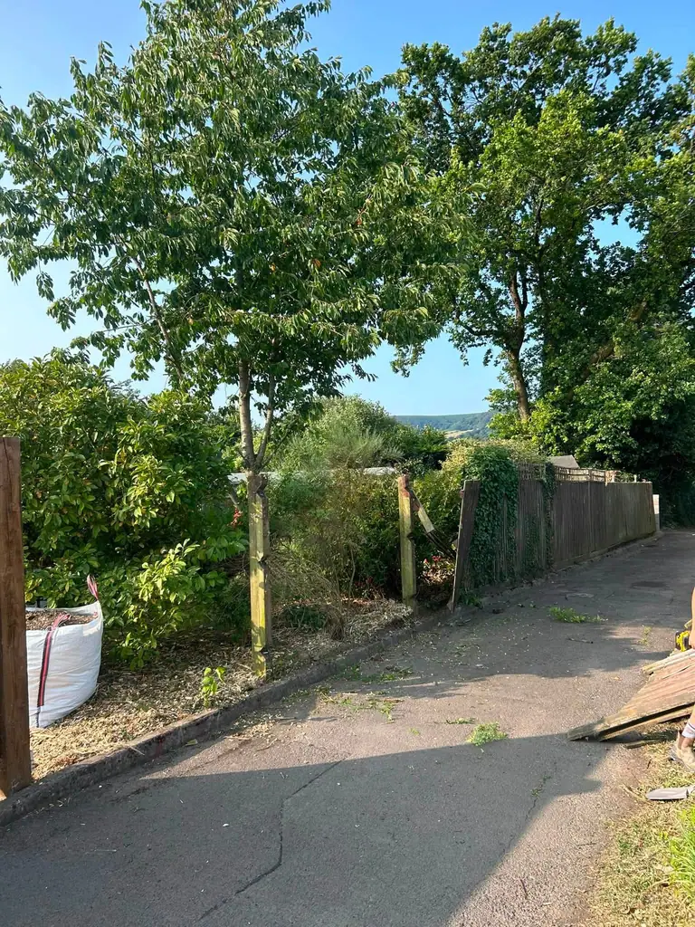 A new boundary the length of the drive — before the work started