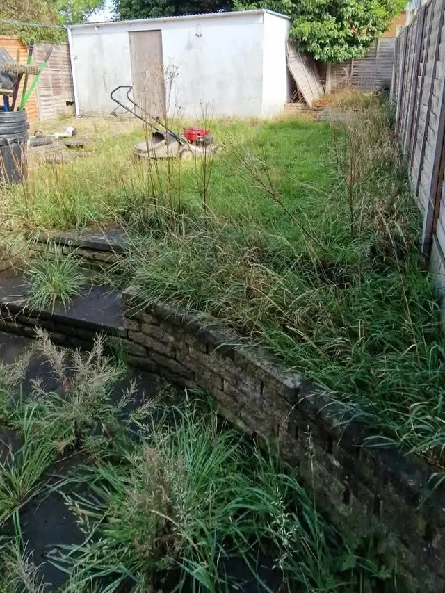 Waist-high grass over a buried wall — before the work started